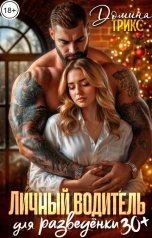 обложка книги ДОМИНАТРИКС "Личный водитель для разведенки за 30"