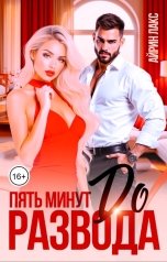 обложка книги Айрин Лакс "Пять минут до развода"