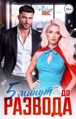 обложка книги Айрин Лакс "Пять минут до развода"