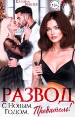 обложка книги Карина Винтер "Развод. С Новым годом, предатель!"