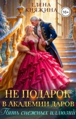 обложка книги Елена Княжина "Не подарок в Академии даров. Пять снежных иллюзий"