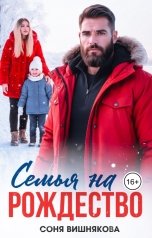 обложка книги Соня Вишнякова "Семья на Рождество"