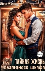 обложка книги Анна Жилло "Тайная жизнь платяного шкафа"