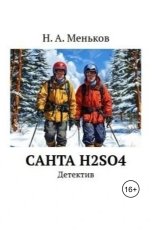 обложка книги Никита Меньков "Санта H2SO4"