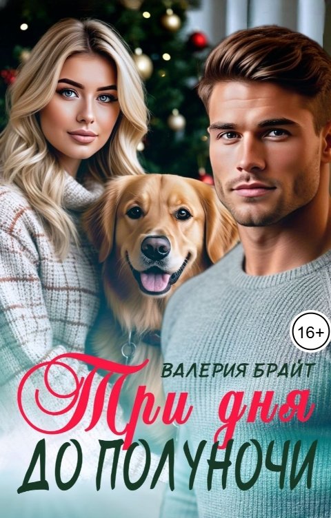 Обложка книги Валерия Брайт Три дня до полуночи