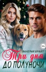 обложка книги Валерия Брайт "Три дня до полуночи"