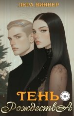 обложка книги Лера Виннер "Тень Рождества"