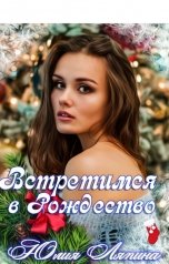 обложка книги Юлия Ляпина "Встретимся в Рождество"