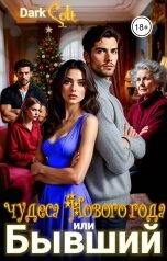 обложка книги Dark Colt "Бывший или чудеса Нового Года"