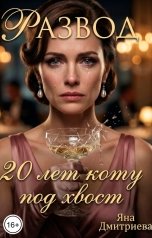 обложка книги Яна Дмитриева "Развод. 20 лет коту под хвост."