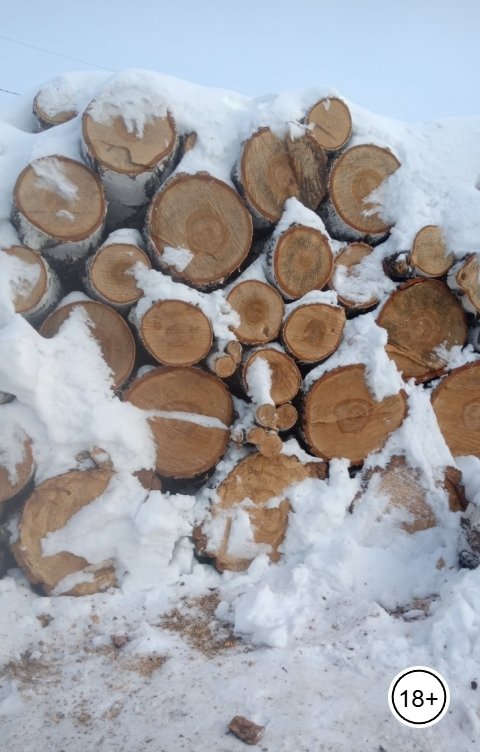 Обложка книги Вячеслав Тайшин И всё-таки она плоская