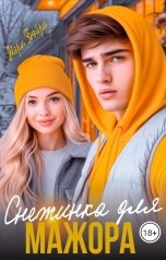 обложка книги Мэри Бэйри "Снежинка для мажора"