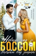 обложка книги Диа Мант, Евгения Кец "Новый год с боссом. Бывшим вход закрыт"