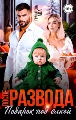 обложка книги Ада Гранатова "После развода. Подарок под елкой"
