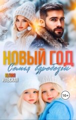 обложка книги Юлия Ильская "Новый год. Семья вдребезги"