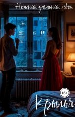 обложка книги Нежный закатный свет "Крылья"