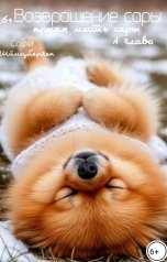 обложка книги Софи Шпицберген "Возвращение сары: Яркая месть сары"