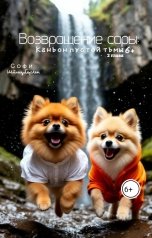 обложка книги Софи Шпицберген "Возвращение сары: Каньон пустой тьмы"