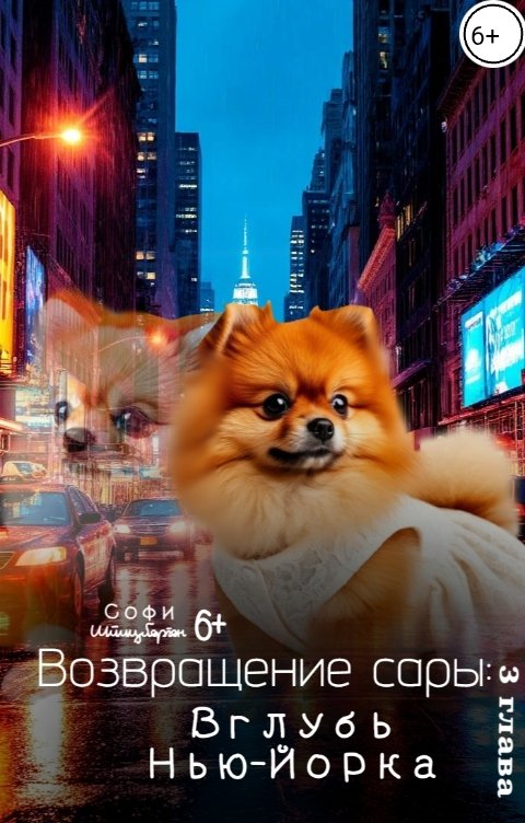 Обложка книги Софи Шпицберген Возвращение сары: Вглубь Нью-Йорка