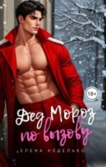 обложка книги Елена Неделько "Дед Мороз по вызову"