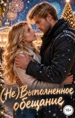 обложка книги Дина Карат "(Не)Выполненное обещание"