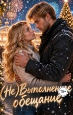 обложка книги Дина Карат "(Не)Выполненное обещание"