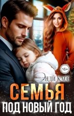 обложка книги Энди Касс "Семья под Новый год"