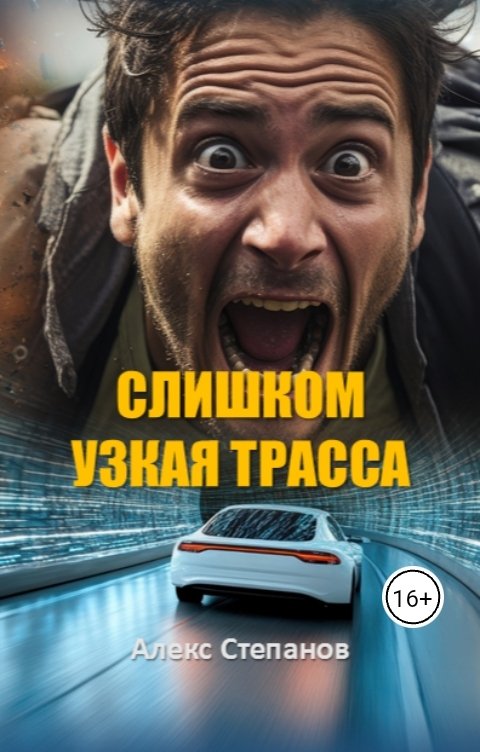 Обложка книги Alex Stepanov Слишком узкая трасса