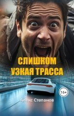 обложка книги Alex Stepanov "Слишком узкая трасса"