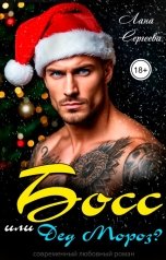 обложка книги Лана Сергеева "Босс или Дед Мороз?"