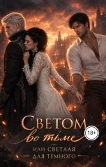 обложка книги Александра Девяткова "Светом во тьме, или светлая для тёмного"