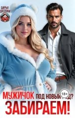 обложка книги Дарья Дятлова "Мужичок под Новый год? Забираем!"