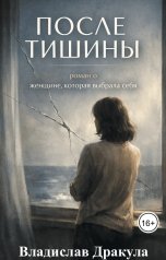 обложка книги Владислав Дракула "После тишины"