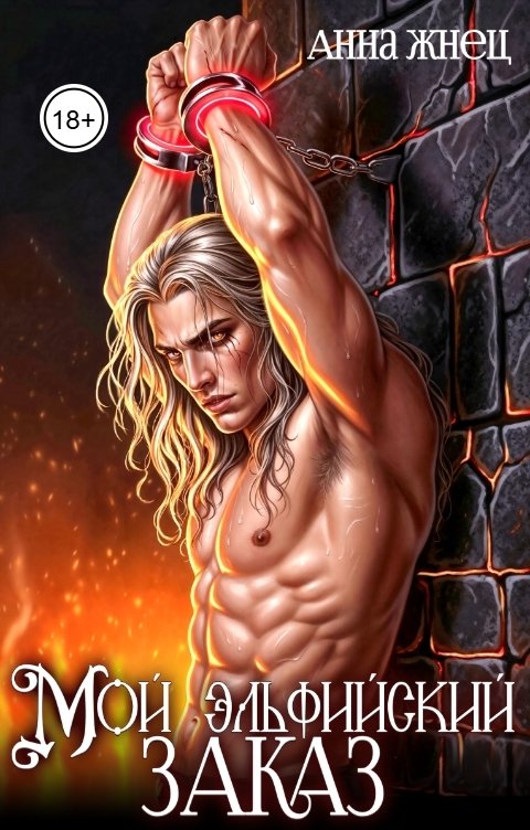 Обложка книги Анна Жнец Мой эльфийский заказ