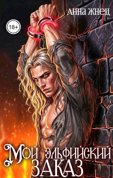 Обложка книги Анна Жнец Мой эльфийский заказ