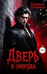 обложка книги Елизавета Соболянская "Дверь в никуда"