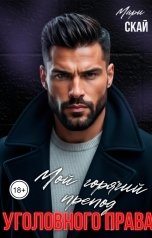 обложка книги Мари Скай "Мой горячий препод уголовного права"