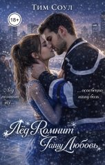 обложка книги Тим Соул "Лед помнит нашу любовь."