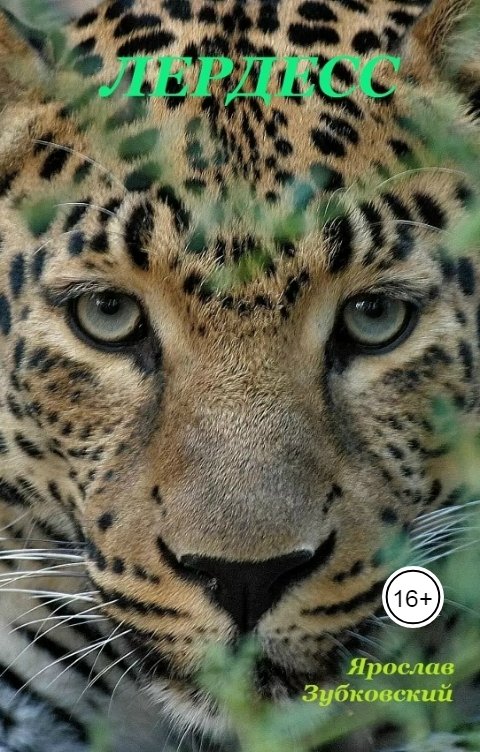 Обложка книги baget555 Лердесс