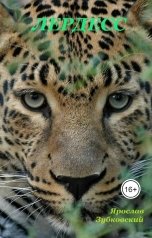 обложка книги baget555 "Лердесс"