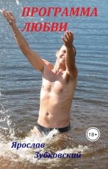 обложка книги baget555 "Программа Любви"