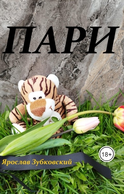 Обложка книги baget555 Пари