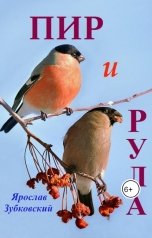 обложка книги baget555 "Пир и Рула"