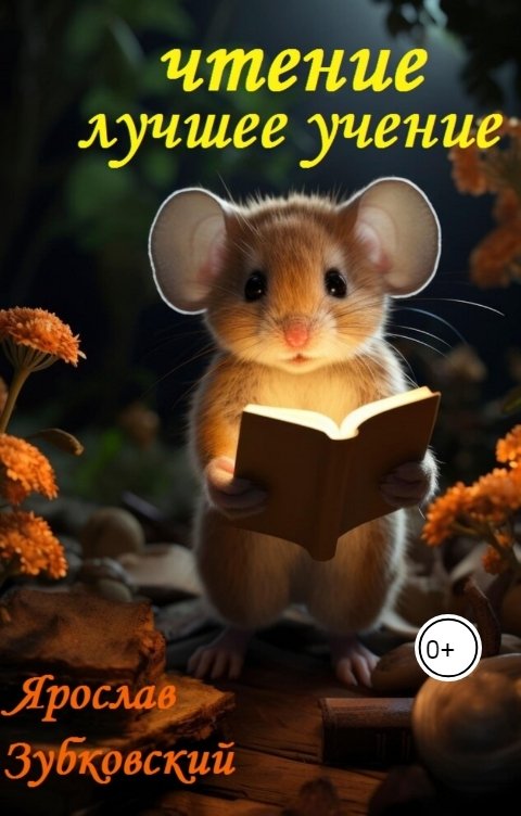 Обложка книги baget555 Чтение лучшее учение