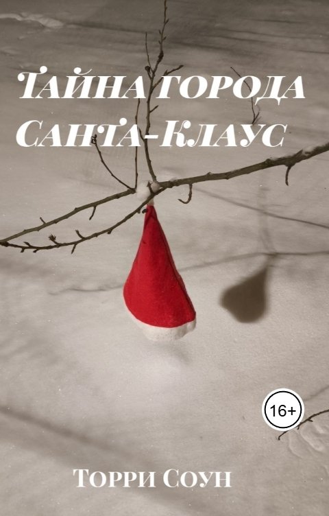 Обложка книги Торри Соун Тайна города Санта-Клаус
