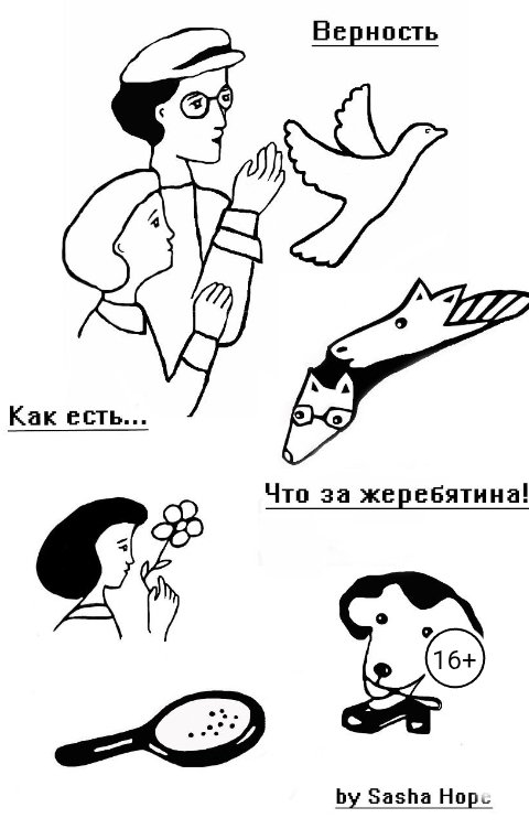 Обложка книги Sasha Hope Верность