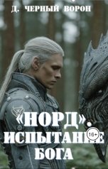 обложка книги Д.Черный Ворон "Норд. Испытание богом"