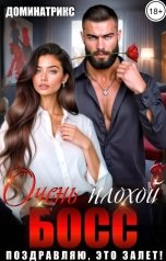 обложка книги ДОМИНАТРИКС "Очень плохой босс. Поздравляю, это залет!"