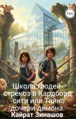обложка книги Кайрат Зинашов "Школа Людей-стрекоз в Кардборд-сити или Тайна дочери демона."