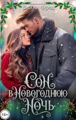 обложка книги Остин Марс и Винни Фред "Сон в новогоднюю ночь"